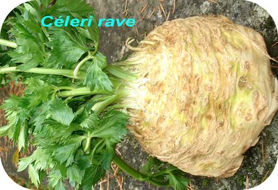 Celeri-rave -- 20/11/07