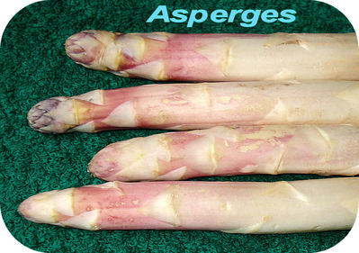 Asperge -- 30/05/08