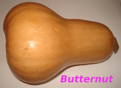 Butternut -- 08/12/10