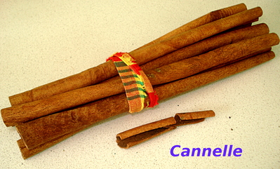 Cannelle -- 18/01/07
