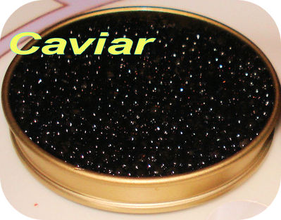 Caviar -- 01/09/08