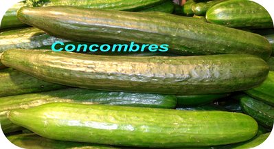 Concombre -- 06/11/07