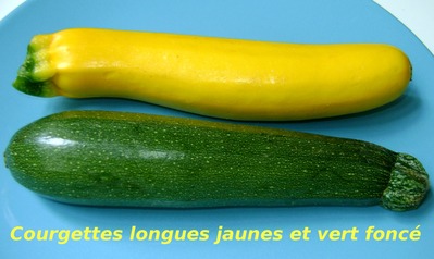 Courgette -- 02/09/11