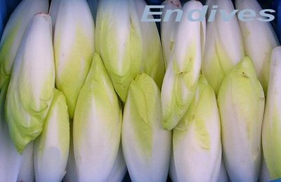 Endive -- 03/03/07