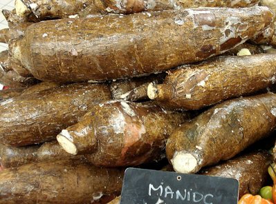 Manioc -- 14/06/08