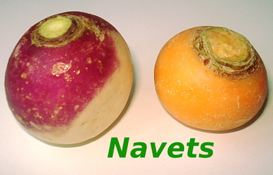 Navet -- 15/01/14