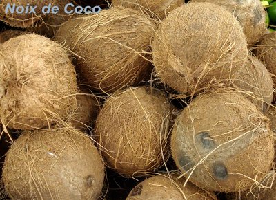 Noix de Coco -- 01/03/07
