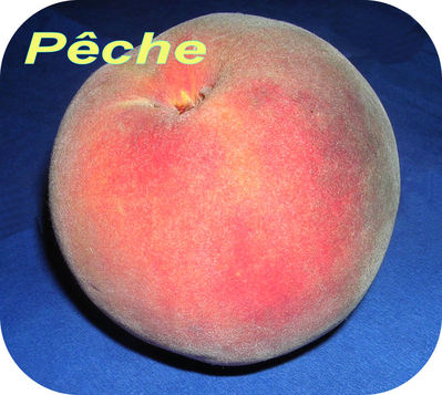 Pche -- 28/07/08