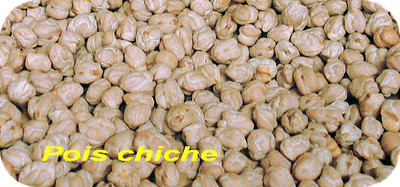 Pois Chiche -- 25/02/19