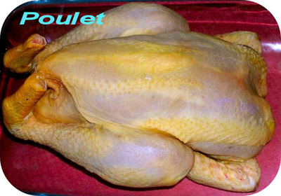 Poulet -- 21/08/08