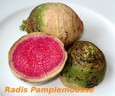 Radis Pamplemousse -- 06/02/13