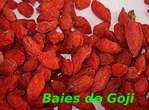 Goji -- 22/12/12