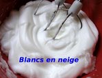 Blancs en Neige -- 14/04/10