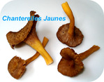 Chanterelle -- 20/10/08