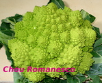 Chou Romanesco -- 13/10/13