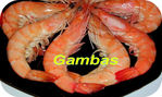 Gambas -- 26/06/08