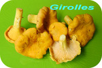 Girolle -- 04/08/08