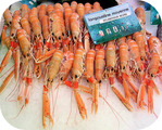 Langoustine -- 29/09/08