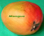 Mangue -- 26/12/06