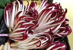 Radicchio -- 01/02/18